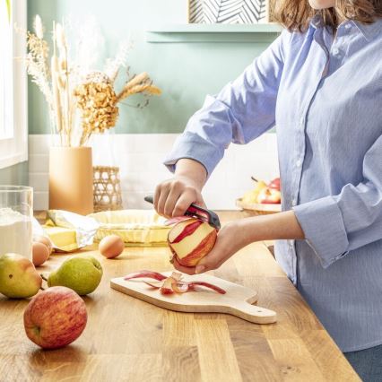 Tefal - Keuken dunschiller INGENIO roestvrij/zwart