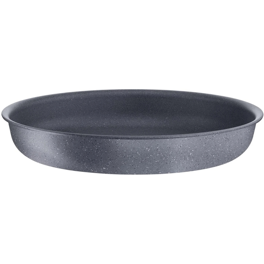 Tefal - Koekenpan INGENIO NATURAL FORCE 24 cm