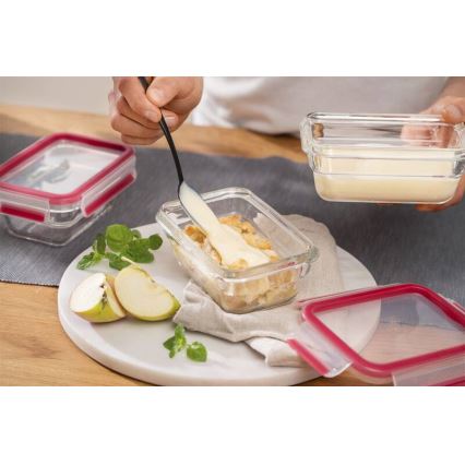 Tefal - MSEAL GLASS bewaardoos voor voedsel 0,45 l, rood/glas