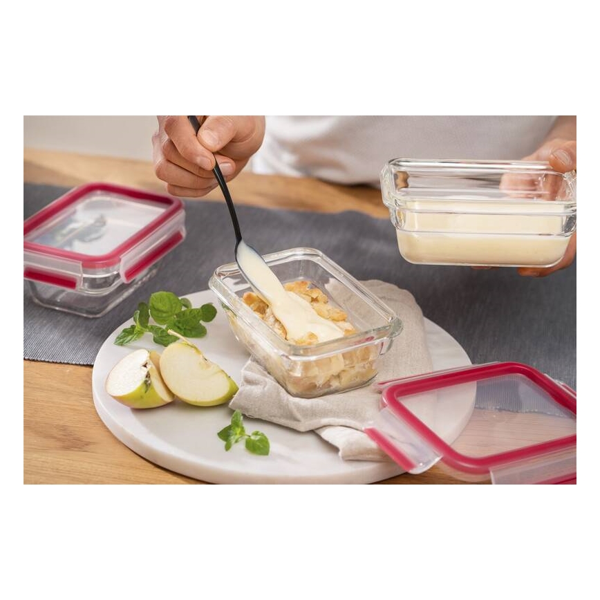 Tefal - MSEAL GLASS bewaardoos voor voedsel 0,45 l, rood/glas