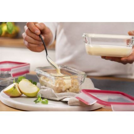 Tefal - MSEAL GLASS bewaardoos voor voedsel 0,45 l, rood/glas