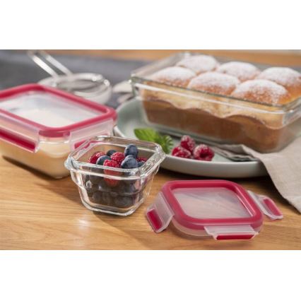 Tefal - MSEAL GLASS bewaardoos voor voedsel 0,45 l, rood/glas