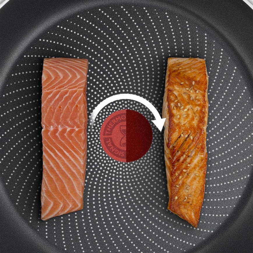 Tefal - Pan DELICIOUS 24 cm