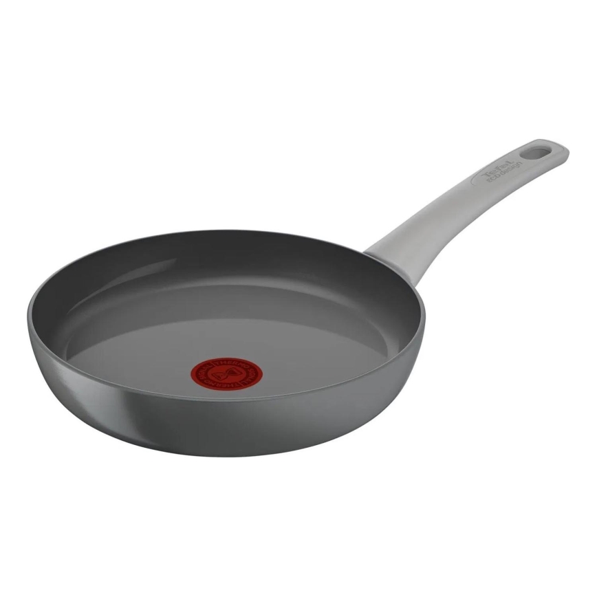 Tefal - Pan RENEW ON 24 cm