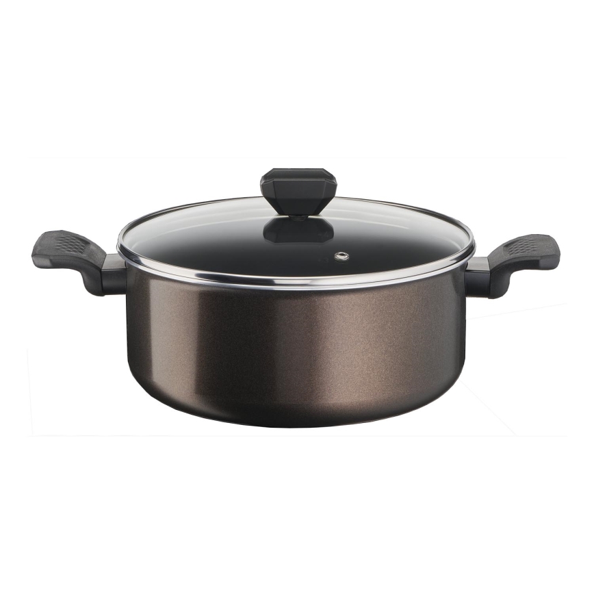 Tefal - Pot met deksel EASY COOK & CLEAN 24 cm