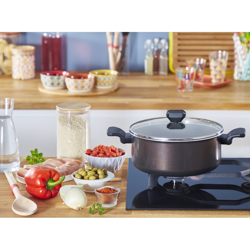 Tefal - Pot met deksel EASY COOK & CLEAN 24 cm