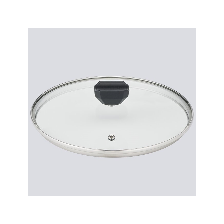 Tefal - Pot met deksel EASY COOK & CLEAN 24 cm