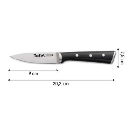 Tefal - Roestvrijstalen vleesmes ICE FORCE 9 cm glanzend chroom/zwart