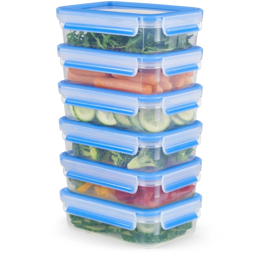 Tefal - SET 6x Voedselbewaardoos 0,8 l MASTER SEAL FRESH blauw