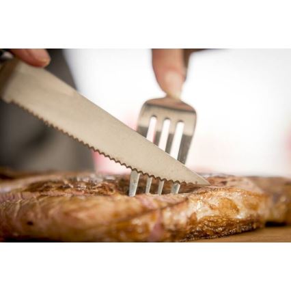 Tefal - SET van 4 roestvrijstalen steakmessen ICE FORCE 11 cm glanzend chroom/zwart