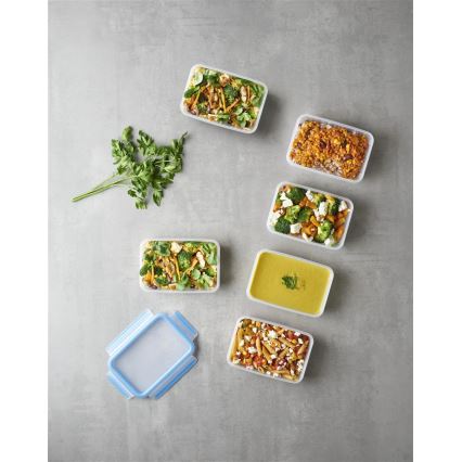 Tefal - Set van 6 voedselbewaarbakjes 0,8 l MASTER SEAL FRESH blauw