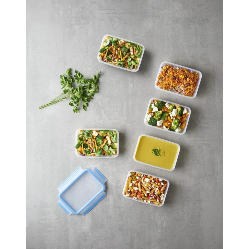 Tefal - Set van 6 voedselbewaarbakjes 0,8 l MASTER SEAL FRESH blauw