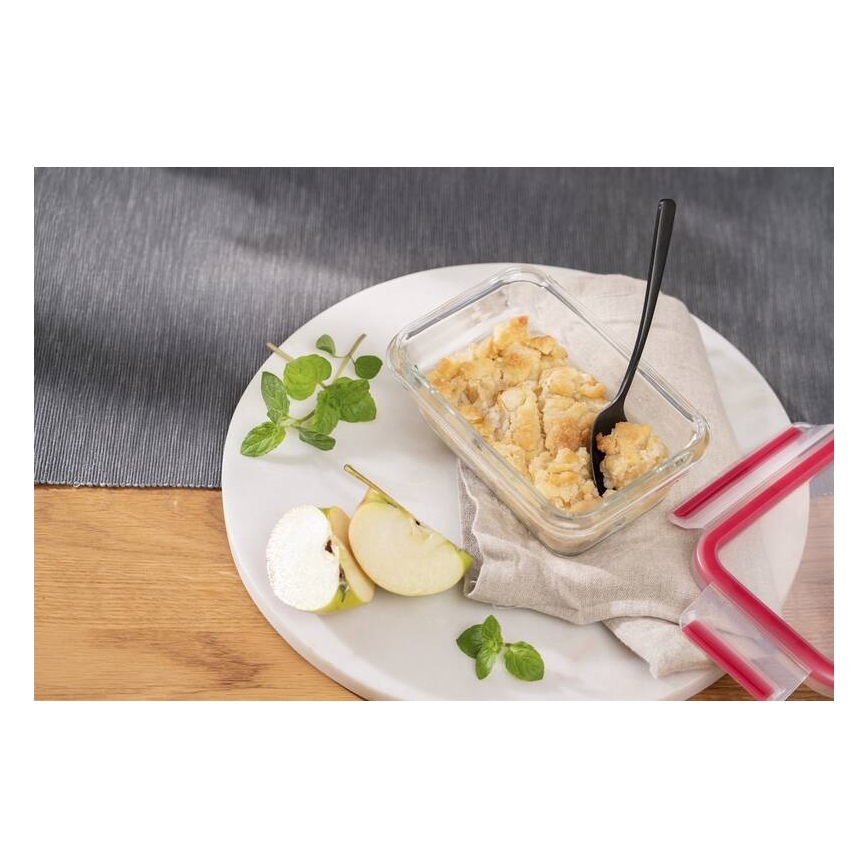 Tefal - Voedselbewaardoos 0,45 l MSEAL GLASS rood/glas