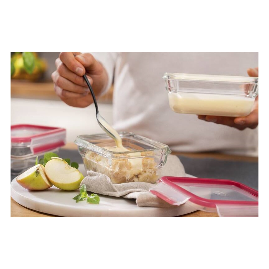 Tefal - Voedselbewaardoos 0,45 l MSEAL GLASS rood/glas