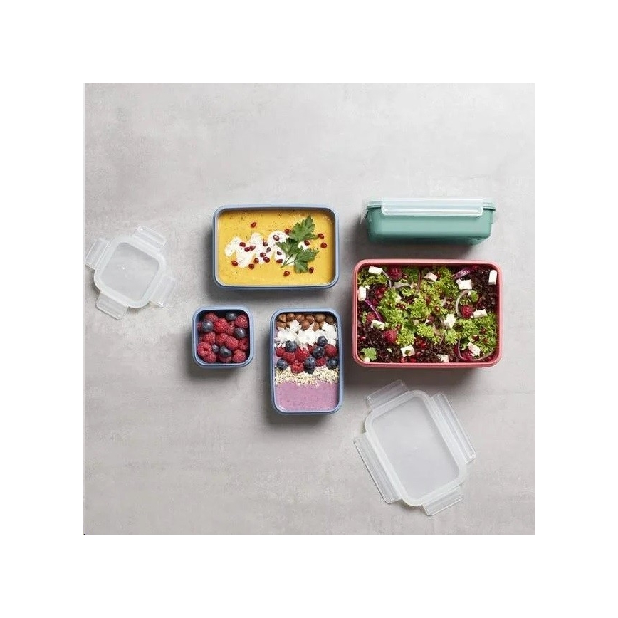 Tefal - Voedselbewaardoos 0,55 l MSEAL COLOR roze