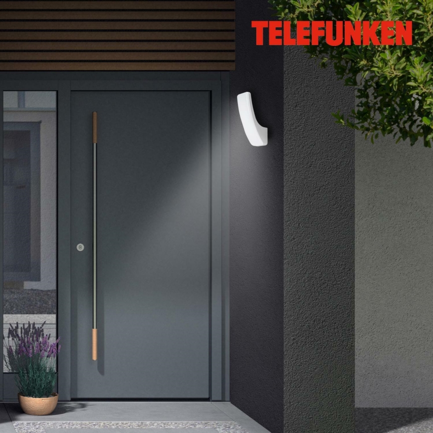 Telefunken 311604TF - LED Wandlamp voor buiten LED/15W/230V IP44 zilver
