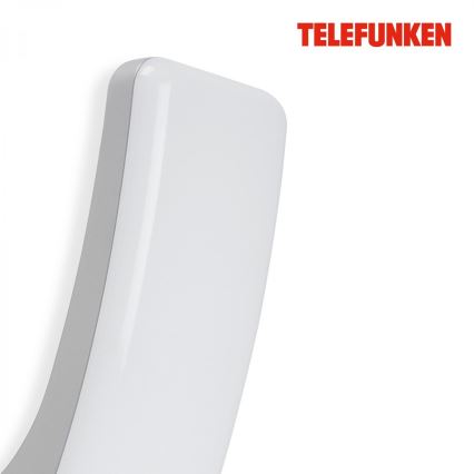 Telefunken 311604TF - LED Wandlamp voor buiten LED/15W/230V IP44 zilver