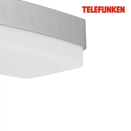 Telefunken 312204TF - LED Wandlamp voor buiten LED/14W/230V IP44