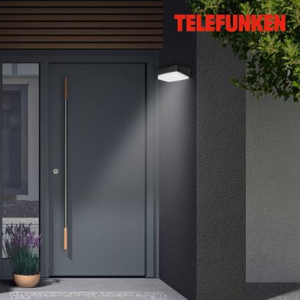 Telefunken 312205TF - LED Wandlamp voor buiten LED/14W/230V IP44