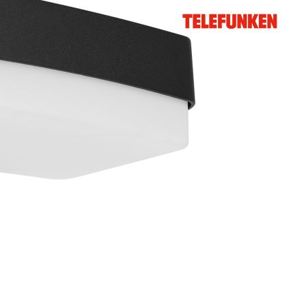 Telefunken 312205TF - LED Wandlamp voor buiten LED/14W/230V IP44