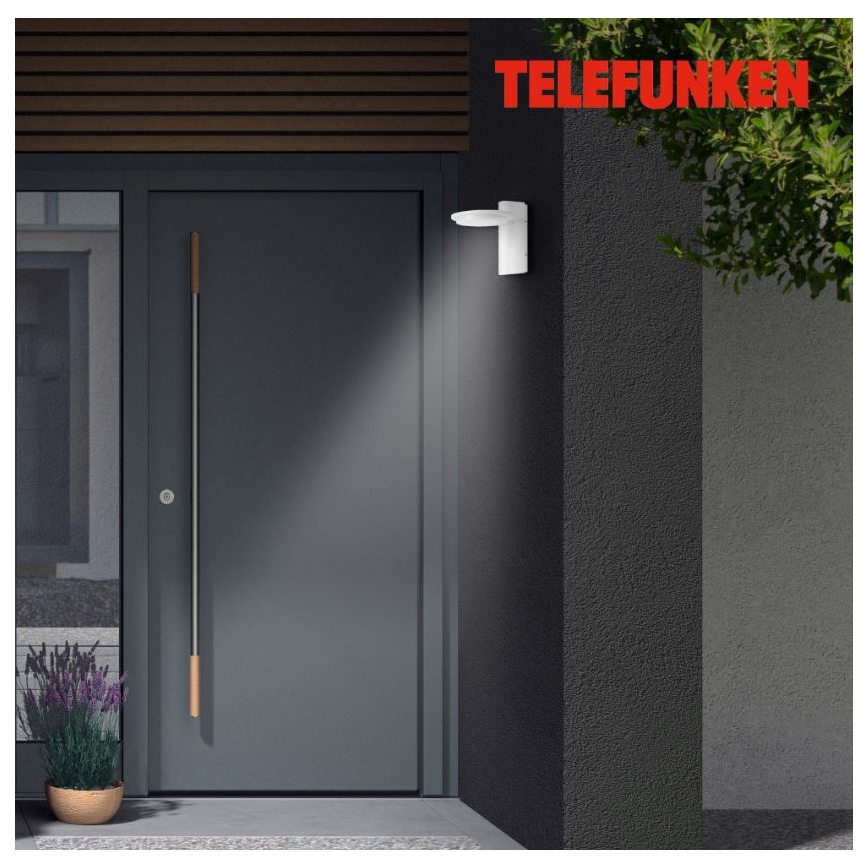 Telefunken 312406TF - LED Wandlamp voor buiten LED/10W/230V IP44
