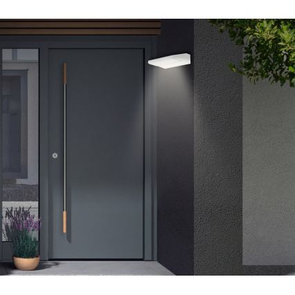 Telefunken - LED buitenwandlamp LED/10W/230V IP44 wit