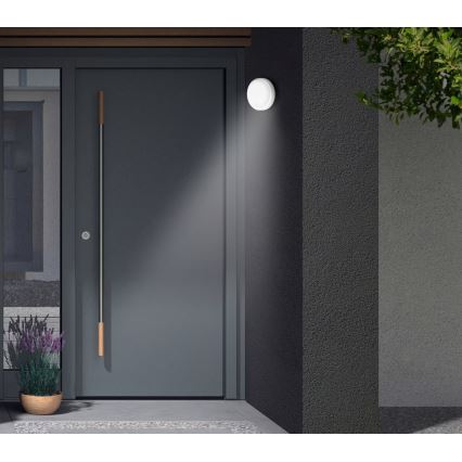 Telefunken - LED buitenwandlamp met schemer- en bewegingssensor LED/12W/230V IP44 wit