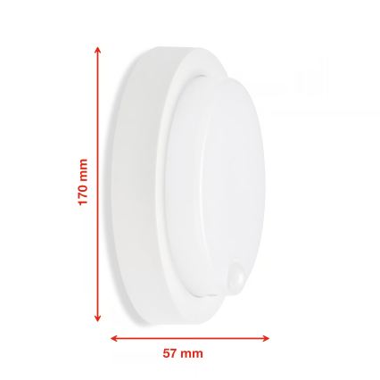 Telefunken - LED buitenwandlamp met schemer- en bewegingssensor LED/12W/230V IP44 wit