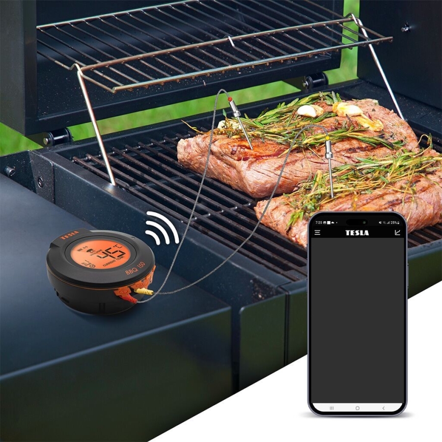 TESLA Electronics Cook - Digitale vleesthermometer met sonde 0-400 °C 2xAA IP65