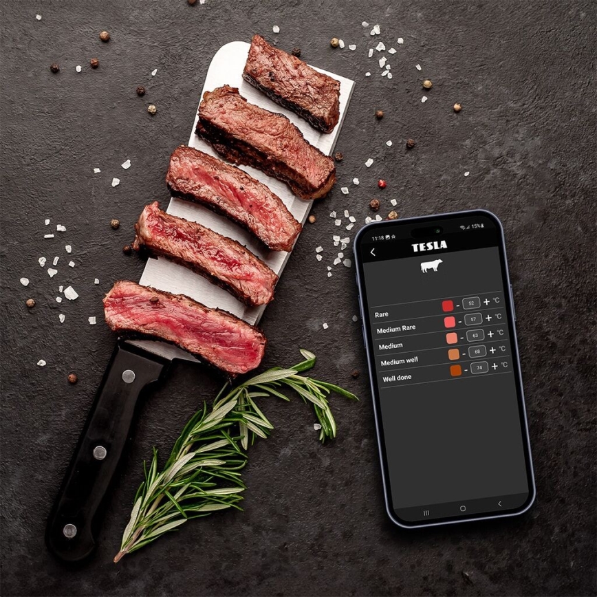 TESLA Electronics Cook - Digitale vleesthermometer met sonde 0-400 °C 2xAA IP65