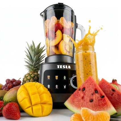 TESLA Electronics CrunchX - Tafelblender 1500W/230V zwart