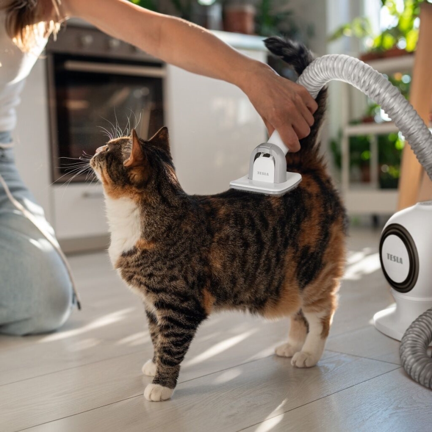 TESLA Electronics PetCare - Verzorgingsset voor huisdieren 300W/230V