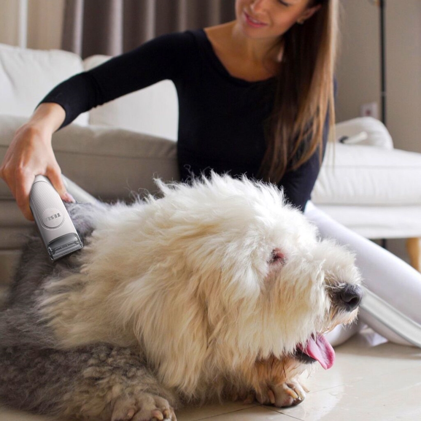TESLA Electronics PetCare - Verzorgingsset voor huisdieren 300W/230V