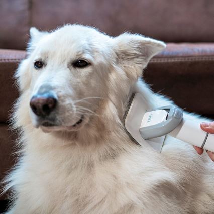 TESLA Electronics PetCare - Verzorgingsset voor huisdieren 300W/230V