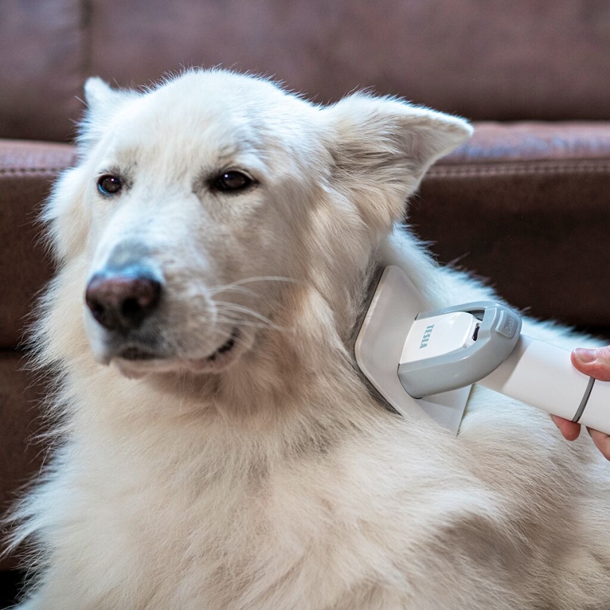 TESLA Electronics PetCare - Verzorgingsset voor huisdieren 300W/230V