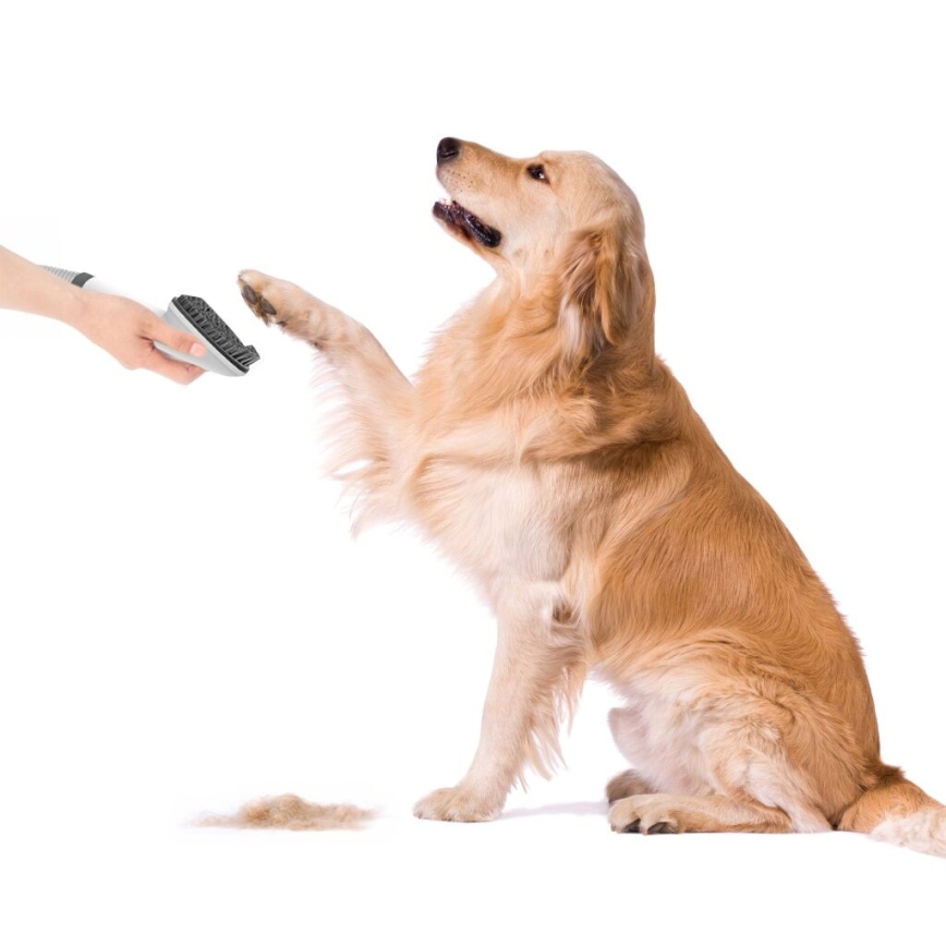 TESLA Electronics PetCare - Verzorgingsset voor huisdieren 300W/230V