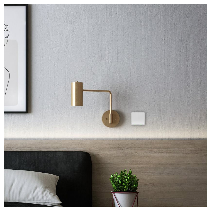 TESLA Smart - Slimme draadloze schakelaar 2P 1xCR2430 ZigBee