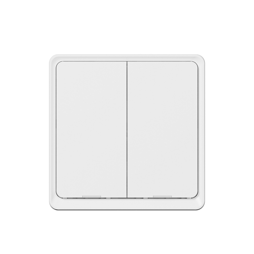 TESLA Smart - Slimme draadloze schakelaar 2P 1xCR2430 ZigBee