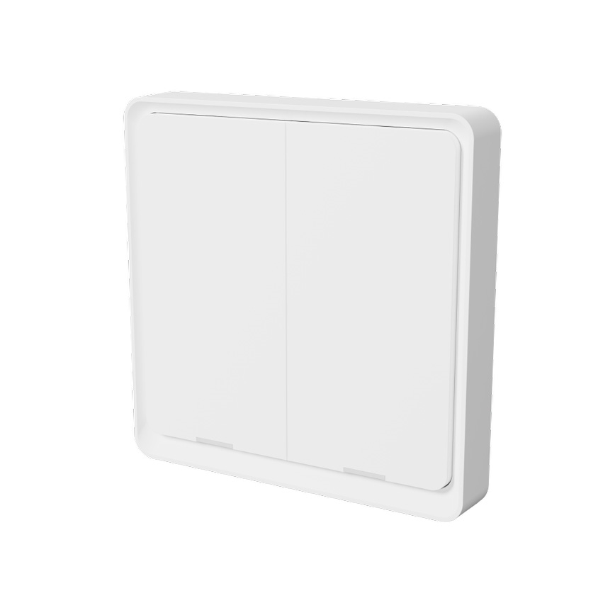 TESLA Smart - Slimme draadloze schakelaar 2P 1xCR2430 ZigBee