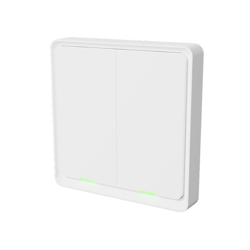 TESLA Smart - Slimme draadloze schakelaar 2P 1xCR2430 ZigBee