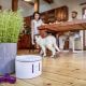 TESLA Smart - Slimme fontein voor huisdieren met UV-sterilisatie 2 l 5V Wi-Fi