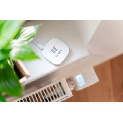 TESLA Smart - Slimme Gateway Hub Smart Zigbee Wi-Fi