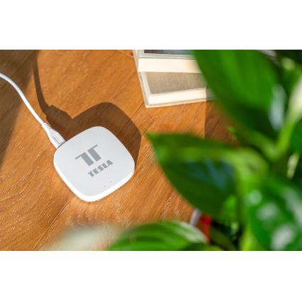 TESLA Smart - Slimme Gateway Hub Smart Zigbee Wi-Fi