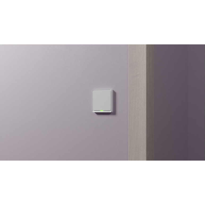 TESLA Smart - Slimme Thuis Schakelaar 1P 230V Zigbee