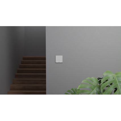 TESLA Smart - Slimme Thuis Schakelaar 2P 230V Zigbee