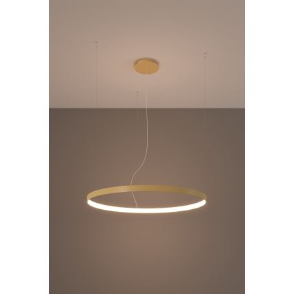 Thoro TH.174 - LED Hanglamp aan een koord RIO LED/50W/230V CRI90 3000K diameter 78 cm goud