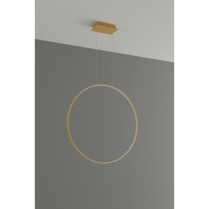 Thoro TH.175 - LED Hanglamp aan een koord RIO LED/50W/230V CRI90 3000K diameter 78 cm goud