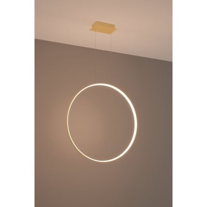 Thoro TH.175 - LED Hanglamp aan een koord RIO LED/50W/230V CRI90 3000K diameter 78 cm goud