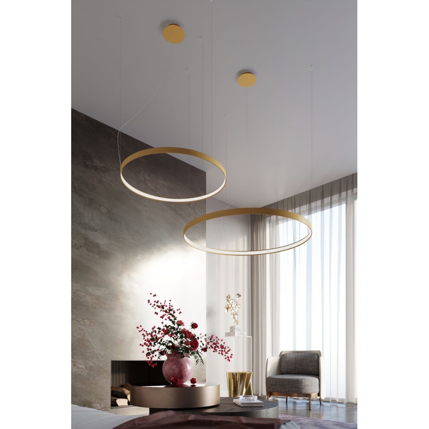 Thoro TH.216 - LED Hanglamp aan een koord RIO LED/30W/230V CRI 90 3000K diameter 55 cm goud