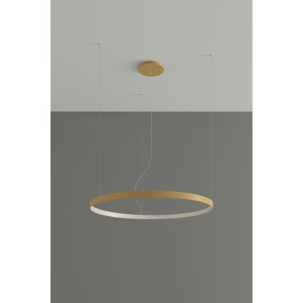 Thoro TH.216 - LED Hanglamp aan een koord RIO LED/30W/230V CRI90 3000K diameter 55 cm goud